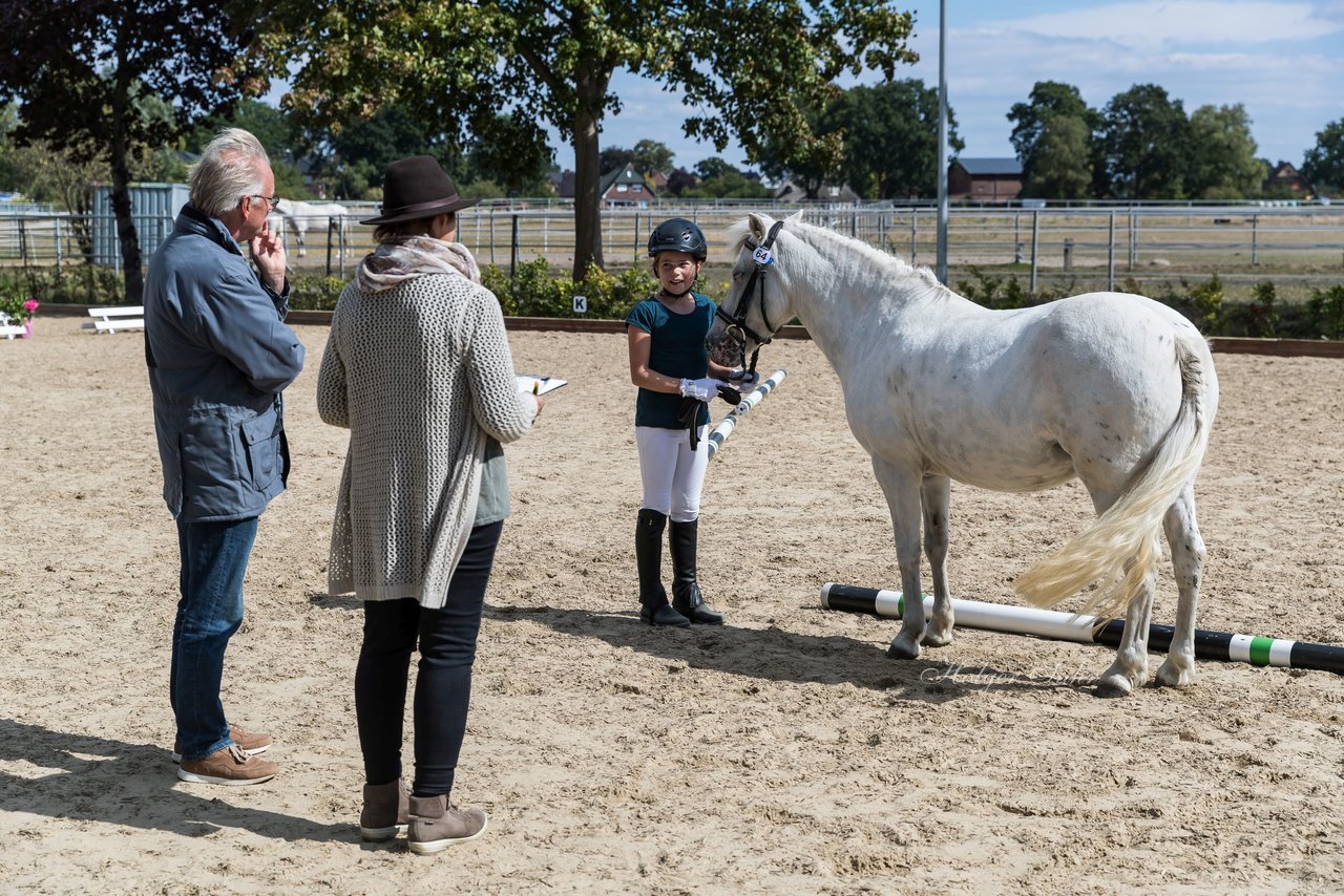 Bild 61 - Pony Akademie Turnier